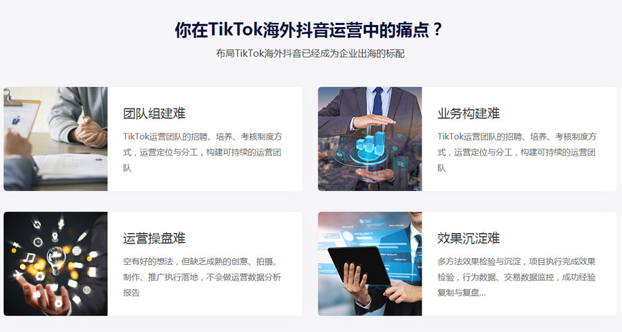 廊坊Tiktok推广  第4张