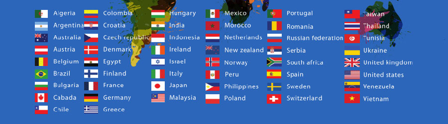 廊坊小语种网站建设  第1张