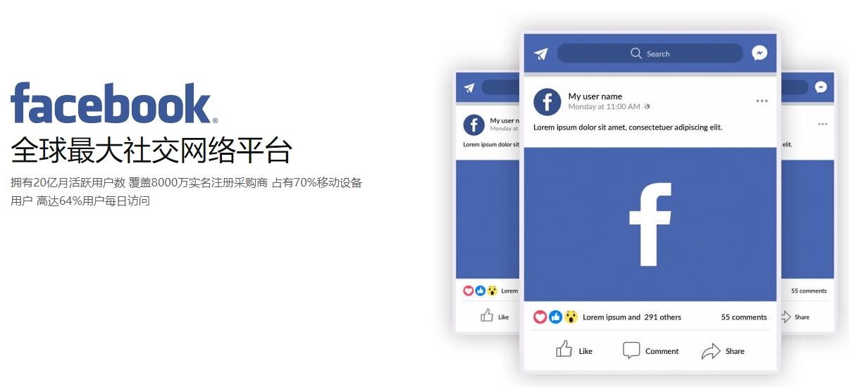 廊坊海外社交媒体营销  第1张